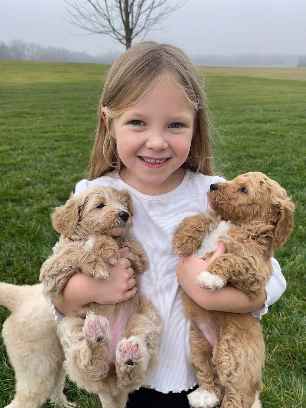 Louise and Pups
